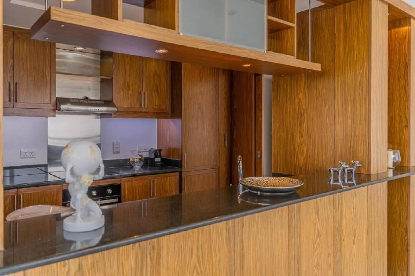 Splendid Apartments With Burj Khalifa And Fountain View Dubai